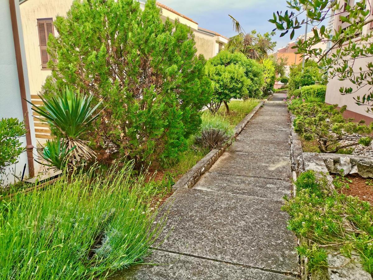 Lavandula Labin  Exterior photo